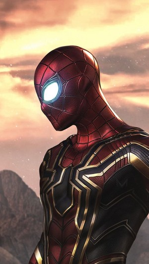 *Iron Spiderman*