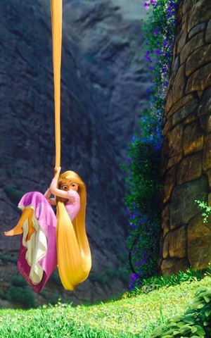 *Rapunzel : Tangled*