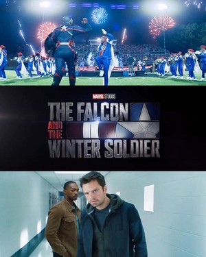  *The falcon, kozi and The Winter Soldier*