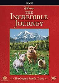  1963 Disney Film, The Incredible Journey, On DVD
