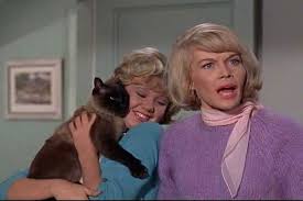  1965 디즈니 Film, That Darn Cat