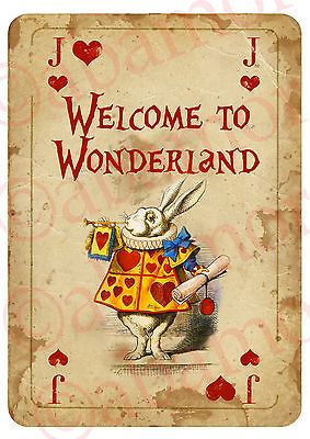 Alice in Wonderland 语录 💛