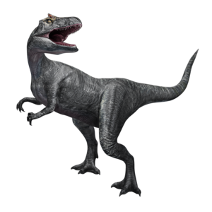  Allosaurus