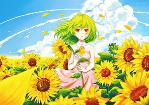  日本动漫 girl with sunflower