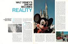 Article Pertaining To Disney World
