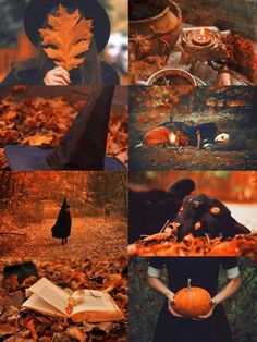  Autumn aesthetic🍃🍁