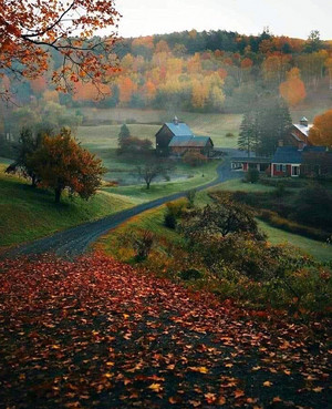 Autumn on the farm ‎‍🌾