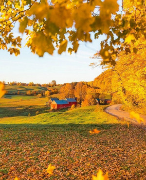  Autumn on the farm ‎‍🌾