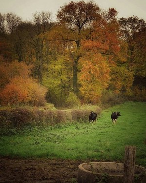  Autumn on the farm ‎‍🌾
