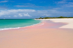  Beautiful rosa, -de-rosa Sandy Beaches 🌺