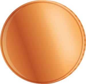  Blank Copper Coin