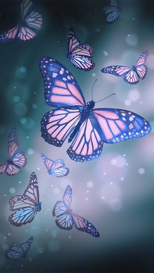 borboleta 🦋🦋