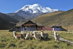  Chimborazo Province, Ecuador