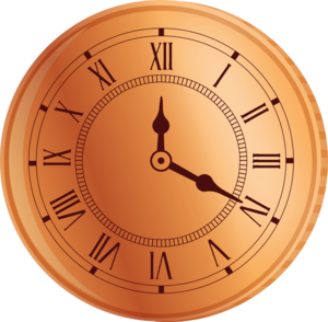  Copper Time Travelling Coin