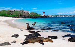  Galapagos Islands, Ecuador