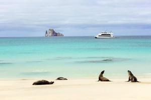  Galapagos Islands, Ecuador