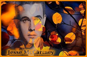  Jesse McCartney