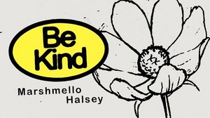  malvavisco and Halsey - be kind (music video)