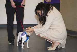  Meghan ~ Visit to the Mayhew (2019)