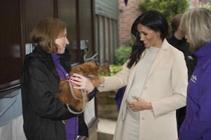 Meghan ~ Visit to the Mayhew (2019)