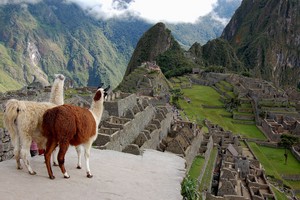  Mica Picchu, Peru