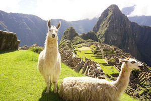  Mica Picchu, Peru