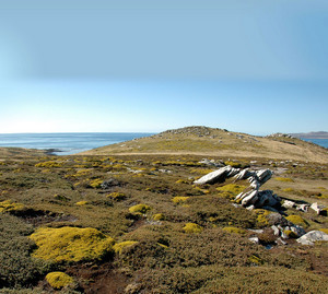 Port Louis, Falkland Islands