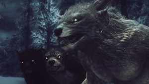  Skyrim - Werewolf Pack