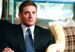  Supernatural | Dean Winchester plus funny moments
