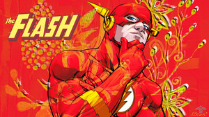  The Flash / Barry Allen