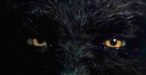  serigala, wolf (1994) - Eyes