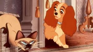  1955 डिज़्नी Cartoon, Lady And The Tramp