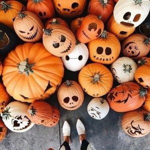  🎃🦇 Halloween Vibes 🦇🎃