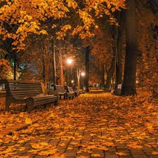  Autumn Nights