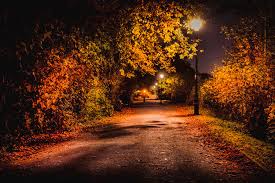  Autumn Nights