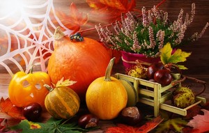  Autumn 🍁 and Pumpkins 🎃