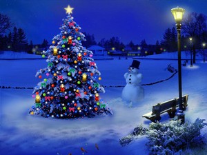 Beautiful Natale ❄️