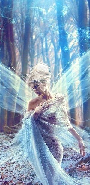  Beautiful Fairy 💙