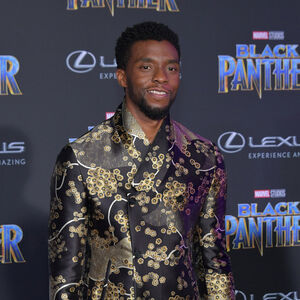  Chadwick Boseman 2018 Disney Film Premiere Of Black panther, harimau kumbang