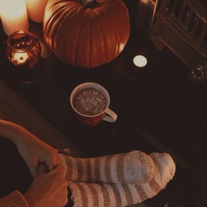  Cozy Autumn Vibes For You 🍁