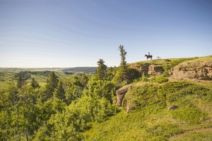  Cypress Hills Interprovincial Park, Saskatchewan