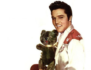  Elvis and Teddies 🌹