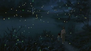  Grave of the Fireflies achtergrond