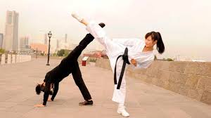  Karate