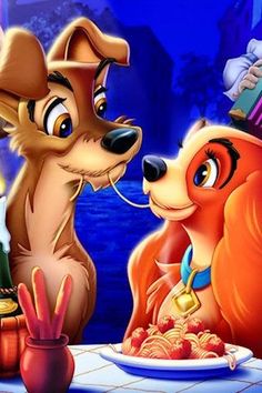  Lady and The Tramp