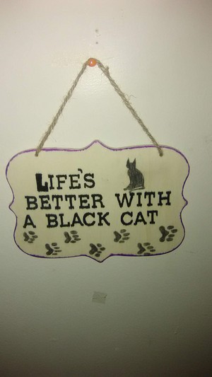  Life is better with a Black Cat.