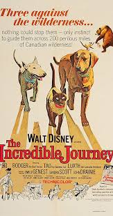  Movie Poster 1963 ディズニー Film, The Incredible Journey