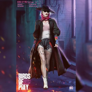  Official 'Birds Of Prey' Concept Art ~ Harley Quinn