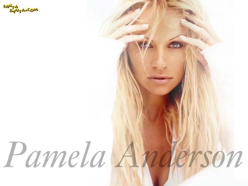 Pamela Anderson - Pamela Anderson Wallpaper (43583166) - Fanpop - Page 17