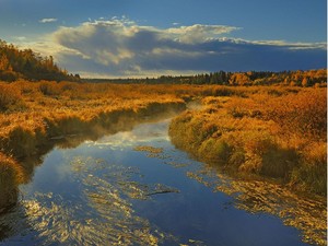  Prince Albert National Park, Saskatchewan